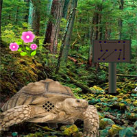 Free online html5 games - Big Wood Land Escape game - Games2rule 
