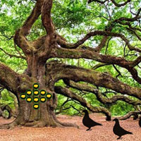 Free online html5 games - Banyan Forest Escape game - Games2rule 