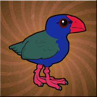 Takahe Bird Escape From Cage