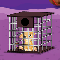 Free online html5 games - Games2Jolly Barbary Lion Cub Escape game - Games2rule 