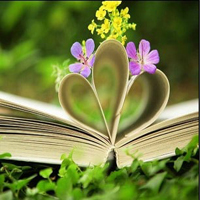 Free online html5 games -  Mystical Book Forest Escape HTML5 game 