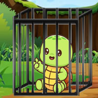 Free online html5 escape games - Little Turtle Escape