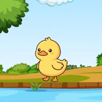 Free online html5 escape games - G2M Trapped Duck Escape