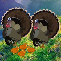 Free online html5 games - Thanksgiving Mom Turkey Escape game 