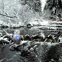 Free online html5 games - Winter Wonderland Forest Escape EscapeFan game 