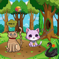 Free online html5 escape games - Wow Assist Couple Of Wild Cats