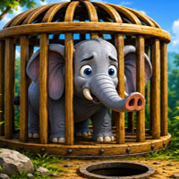 Free online html5 escape games - Free the Trapped Elephant