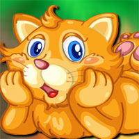 Free online html5 games - Avm Playful Cat Escape game - Games2rule 