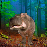 Free online html5 games - Escape Game Save the Hippo game 