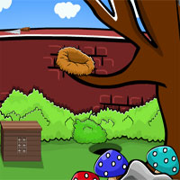 Free online html5 games - MirchiGames Daisy Garden Escape game 