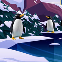 Free online html5 escape games - Icy Leopard Rescue