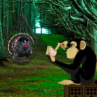 Free online html5 games - American Wild Turkey Escape game 
