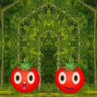Free online html5 games -  Twins Tomato Escape HTML5 game 