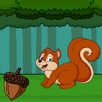 Rescue The Squirrel From Cage