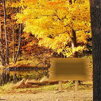 Free online html5 games - Tropical Deciduous Forest Escape game 