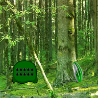 Free online html5 games - Big Tropical Evergreen Forest Escape game 
