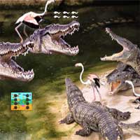 Free online html5 games - Escape crocky game 