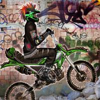 Free online html5 games - Punk Biker game 