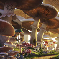 Free online html5 games - Escape Green Crab From Mushroom Forest game 