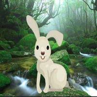 Free online html5 games - Save The Little Rabbit HTML5 game - Games2rule 