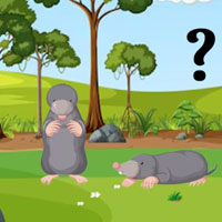 Free online html5 escape games - Barn Animal Rescue