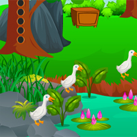 Free online html5 games - AvmGames Escape Gardener game - Games2rule 