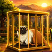 Free online html5 escape games - Break the Pied Tamarins Cage