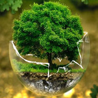 Free online html5 games - Nature Of Tree World Escape HTML5 game - Games2rule 
