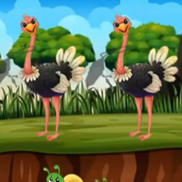 Free online html5 games - G2M Find the Ostrich game 