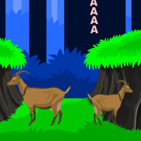 Free online html5 games - G2L Purple Owl Rescue game - Games2rule 