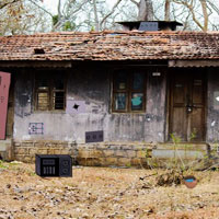 Free online html5 games - GFG Desolate Forest House Escape game - Games2rule 