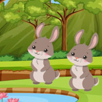 Free online html5 escape games - G2M Rabbit Rescue Escape