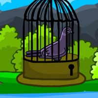 G2M Help the Grey Pigeon Escape