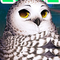 Free online html5 games - G4K Lovely Owl Escape game 