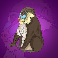 Free online html5 games - G2J Rescue The Baboon Monkey game - Games2rule 