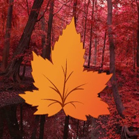 Free online html5 games - Maple Autumn Forest Escape HTML5 game 