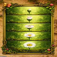 Free online html5 escape games - Find Tiny Fairy Elowen