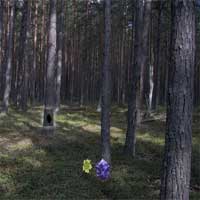 Free online html5 games - Coniferous Forest Escape EscapeFan game - Games2rule 