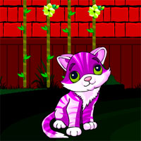 Free online html5 games - Avm Red Wall Cat Escape  game - Games2rule 