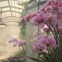 Free online html5 escape games - Orchid Show