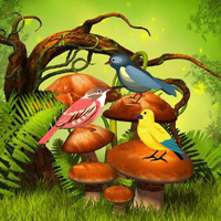 Free online html5 games - Save The Friend Birds game 