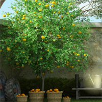 Free online html5 games - 365 Garden Gate Escape game - Games2rule 