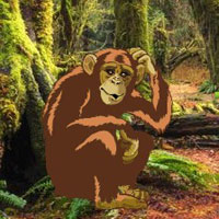 Free online html5 games - Trapped Monkey Child Escape HTML5 game - Games2rule 