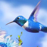 Free online html5 games - Wonderful Humming Bird Land Escape HTML5 game 