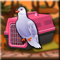 Free online html5 games - G2J Ringneck Dove Rescue From Forest game 