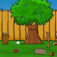 Free online html5 games - Games2Jolly Funny Tortoise Rescue game 
