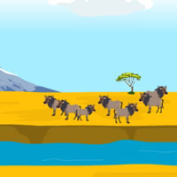 Hooda Escape Kenya 2025