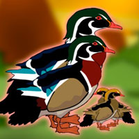 G2J Rescue the Wood Duck Family