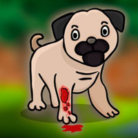 Free online html5 escape games - Save the Injured Pug
