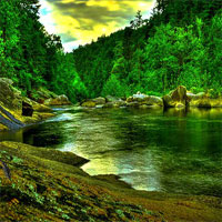 Free online html5 games - Tropical Woods Escape game 
